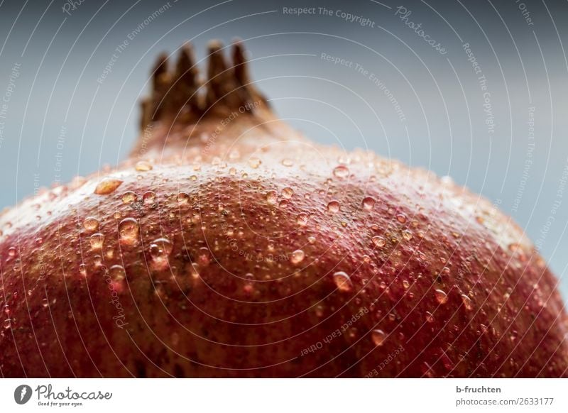 Pomegranate detail Food Fruit Organic produce Vegetarian diet Healthy Eating Fresh Red To enjoy Fruity Drops of water Exotic Sheath Macro (Extreme close-up)