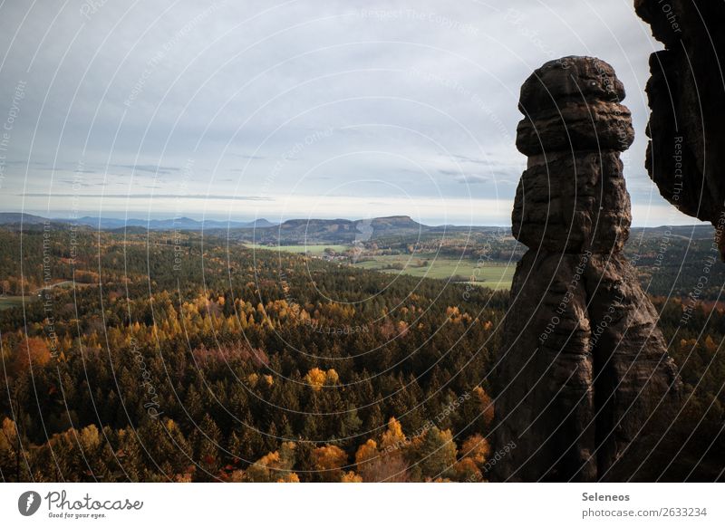 View of autumn Autumn Saxon Switzerland outlook Hiking Germany Rock Landscape Mountain Elbsandstone mountains Vacation & Travel Forest Colour photo