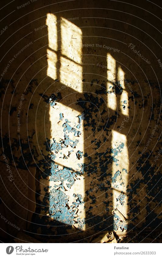 Lost Place House (Residential Structure) Wall (barrier) Wall (building) Window Old Dark Bright Retro lost places Plaster Flake off Decline Derelict Old building