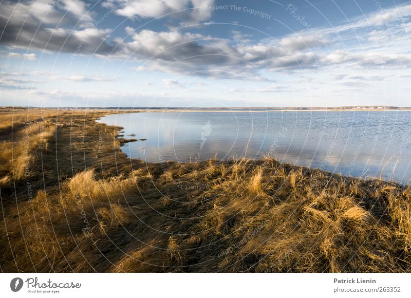 New Ceremony Environment Nature Landscape Plant Elements Air Sky Clouds Sunlight Weather Bushes Wild plant Waves Coast Beach Bay Ocean Discover Relaxation