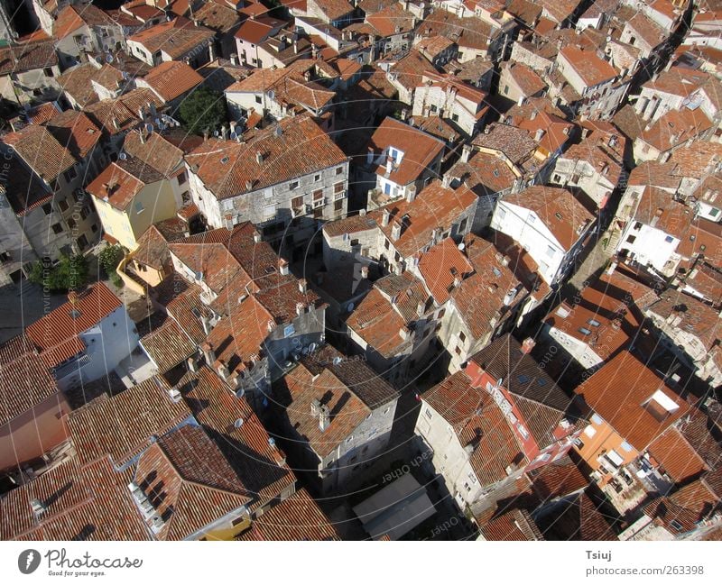 Above the roofs of the city Vacation & Travel House (Residential Structure) Town Old Aerial photograph Roof Red Colour photo Exterior shot Deserted Evening