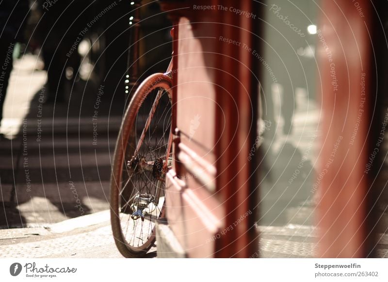 Shadows, reflection and a bicycle Europe Old town Wall (barrier) Wall (building) Pedestrian Street Zebra crossing Street corner Sidewalk Bicycle Gray Red