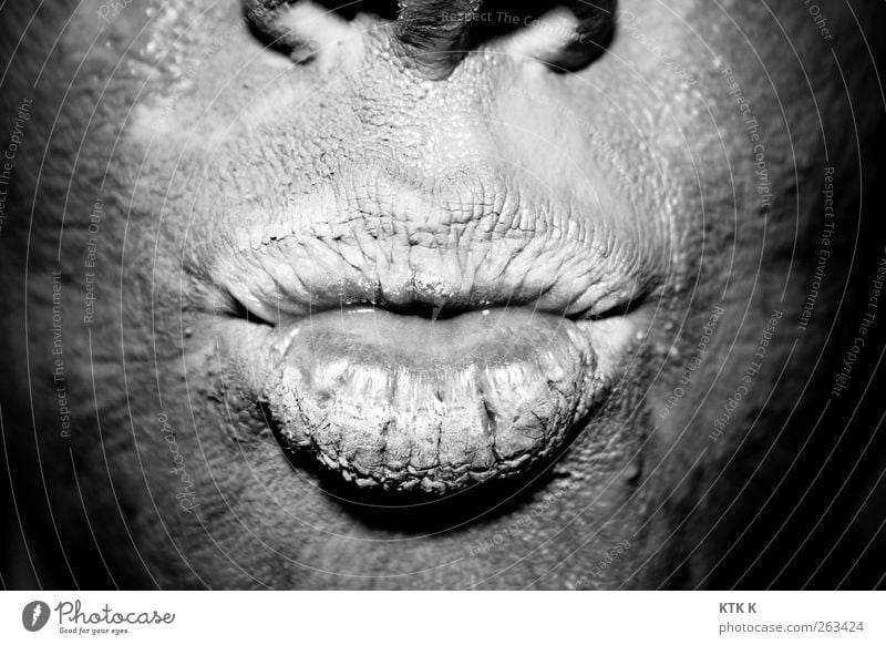 Kiss me! Kiss me! Beautiful Personal hygiene Skin Face healing earth Nose Mouth Lips Art Elements Earth Dirty Silver Dry Black & white photo Close-up Detail