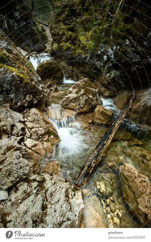 Nature with diploma Landscape Water Moss Rock Brook Colour photo Exterior shot Day Deep depth of field Wide angle