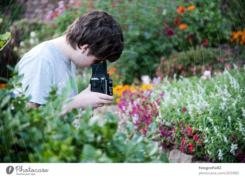 flowers and more Joy Calm Trip Freedom Camera Technology Masculine Young man Youth (Young adults) 1 Human being 18 - 30 years Adults Artist Plant Flower Bushes