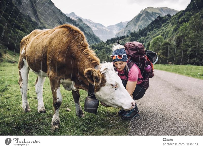 Stroking a cow in the Allgäu Lifestyle Hiking Feminine Young woman Youth (Young adults) 18 - 30 years Adults Nature Landscape Meadow Alps Mountain Sunglasses