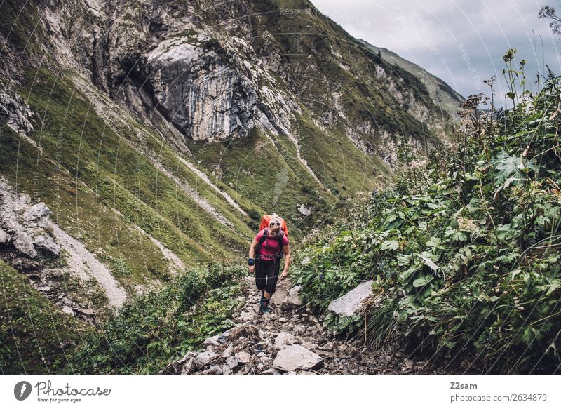 Woman crossing the Alps Vacation & Travel Adventure Mountain Hiking Young woman Youth (Young adults) 18 - 30 years Adults Nature Landscape Bushes Rock