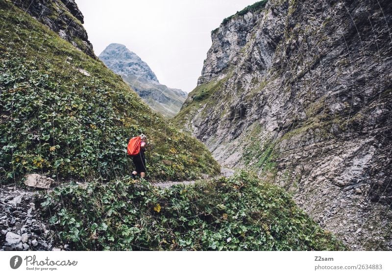 Ascent to the Kemptner Hut Mountain Hiking Young woman Youth (Young adults) 30 - 45 years Adults Nature Landscape Bushes Rock Alps Backpack Hiking boots Going