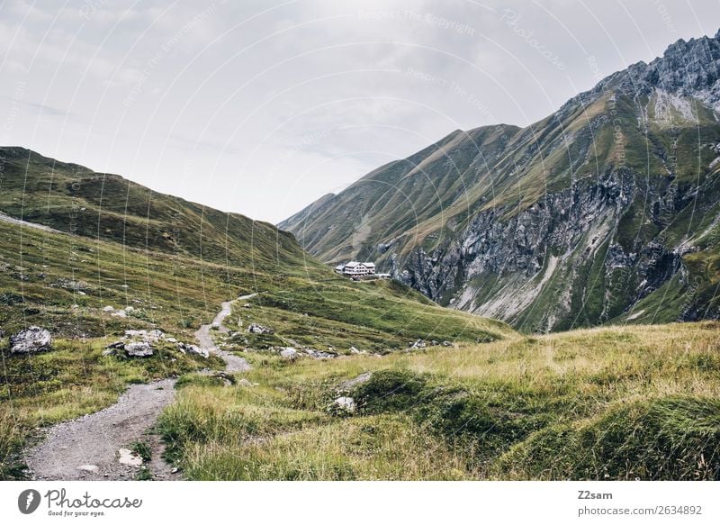 View to the Kemptner hut in Allgäu Adventure Hiking Nature Landscape Autumn Meadow Alps Mountain Hut Far-off places Gigantic Green Loneliness Idyll