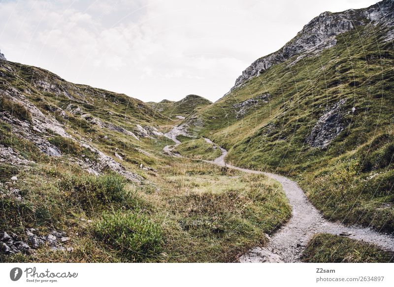 Ascent to the Mädlejoch Adventure Hiking Nature Landscape Autumn Alps Mountain Peak Far-off places Infinity Tall Green Loneliness Idyll Sustainability Calm