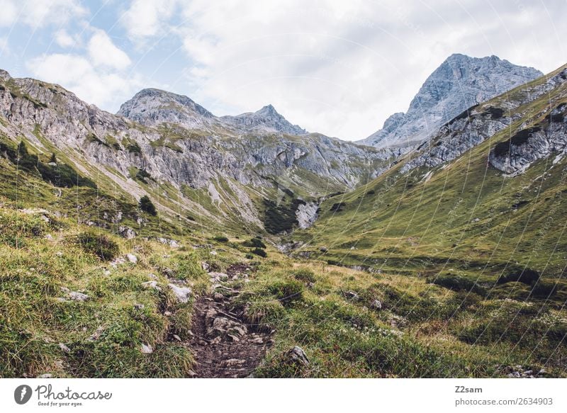 Crottenkopf in the Allgäu region Adventure Hiking Nature Landscape Meadow Rock Alps Mountain Gigantic Large Tall Loneliness Relaxation Idyll Lanes & trails