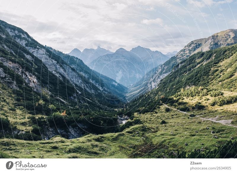 Descent to Holzau Vacation & Travel Adventure Hiking Nature Landscape Meadow Alps Mountain Far-off places Natural Blue Green Loneliness Relaxation Freedom