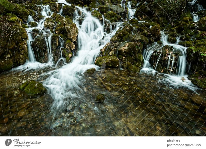 Nature (without diploma) Landscape Water Moss Brook Waterfall Exotic Colour photo Exterior shot Long exposure Deep depth of field Wide angle