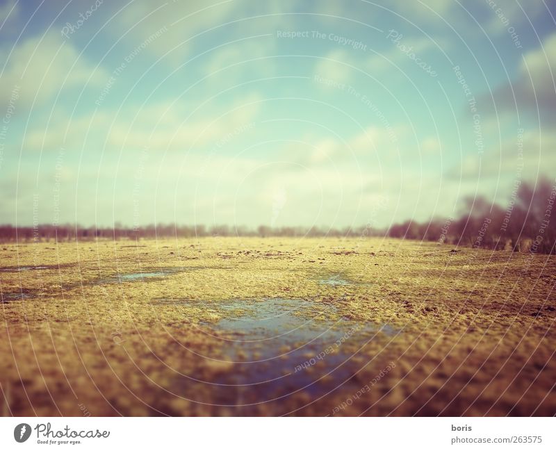 Ipweger Moor Nature Earth Sky Grass Oldenburg Germany Europe Deserted Observe Dream Sadness Dirty Blue Brown Yellow Gray Loneliness Transience Photography