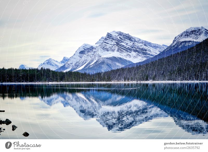 # Canada/ wild vastness Nature Landscape Plant Elements Water Sky Winter Beautiful weather Snow Tree Peak Snowcapped peak Bay Discover Dream Exceptional