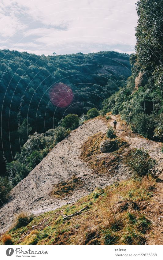 Boy walking in the distance on a trail among mountains on a sunny day Lifestyle Joy Happy Leisure and hobbies Vacation & Travel Tourism Adventure Freedom Summer