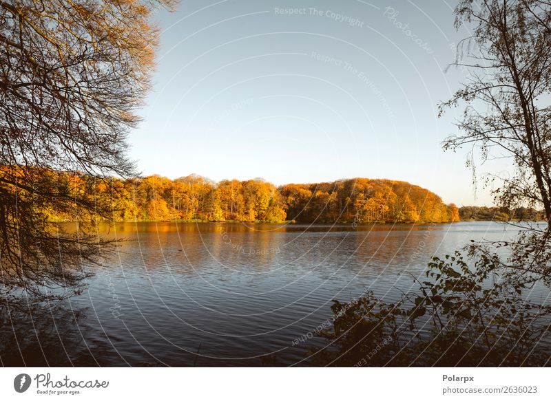 Lake in the fall surrounded by trees Beautiful Vacation & Travel Environment Nature Landscape Sky Autumn Tree Leaf Park Forest Pond River Bright Brown Yellow