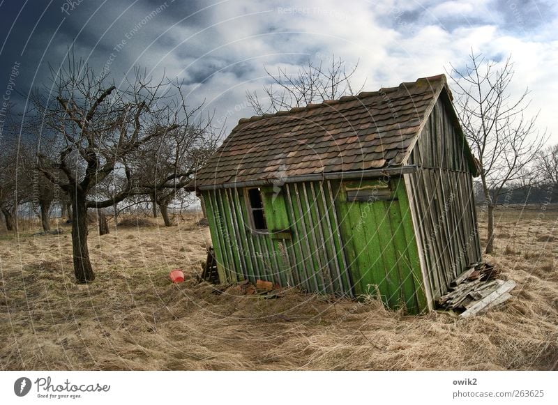 Room free Living or residing Garden Environment Nature Landscape Plant Sky Clouds Horizon Climate Weather Beautiful weather Wind Tree Grass Bushes Sparse Hut