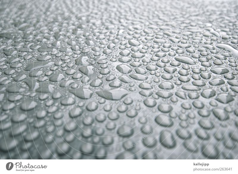 desk background Environment Nature Water Rain Wet Damp Rainwater Fresh Colour photo Exterior shot Close-up Light Shadow Contrast Reflection Blur Many Deserted