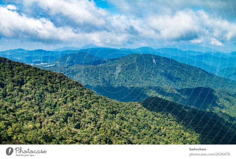 climate change | vital rainforest! Climate protection Climate change Fantastic Blue Gorgeous Clouds Bushes Environmental protection Leaf Sky Tree Field