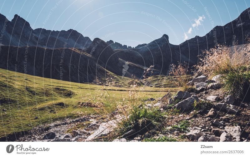 View towards Seescharte Vacation & Travel Adventure Hiking Nature Landscape Sunlight Summer Beautiful weather Bushes Alps Mountain Natural Green Loneliness