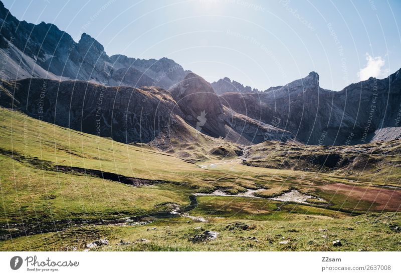 View to the sea chart Vacation & Travel Adventure Hiking Nature Landscape Sun Summer Beautiful weather Meadow Alps Mountain Peak Gigantic Tall Sustainability