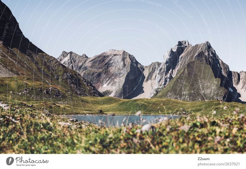 Lower Lake Meadow | Lechtaler Alps Adventure Hiking Nature Landscape Summer Beautiful weather Mountain Peak Mountain lake Natural Green Loneliness Relaxation