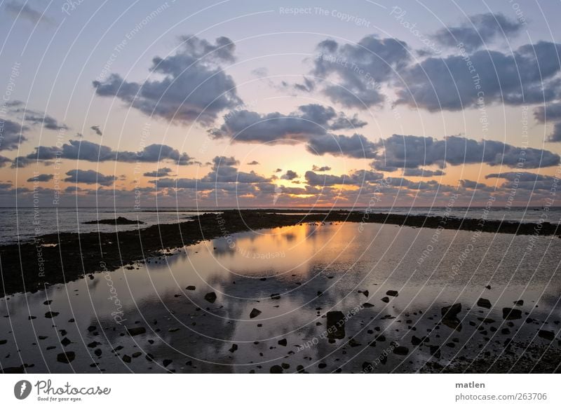 aurora Landscape Sky Clouds Sun Sunlight Coast Ocean Blue Gold Red Stationary Calm Colour photo Exterior shot Deserted Dawn Sunrise Sunset Wide angle Reflection