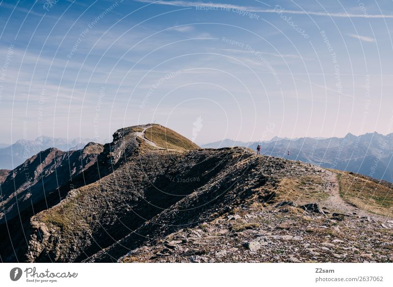 Hikers on the Venet summit | E5 Adventure Mountain Hiking Human being Nature Landscape Summer Beautiful weather Alps Peak Tall Athletic Loneliness Freedom