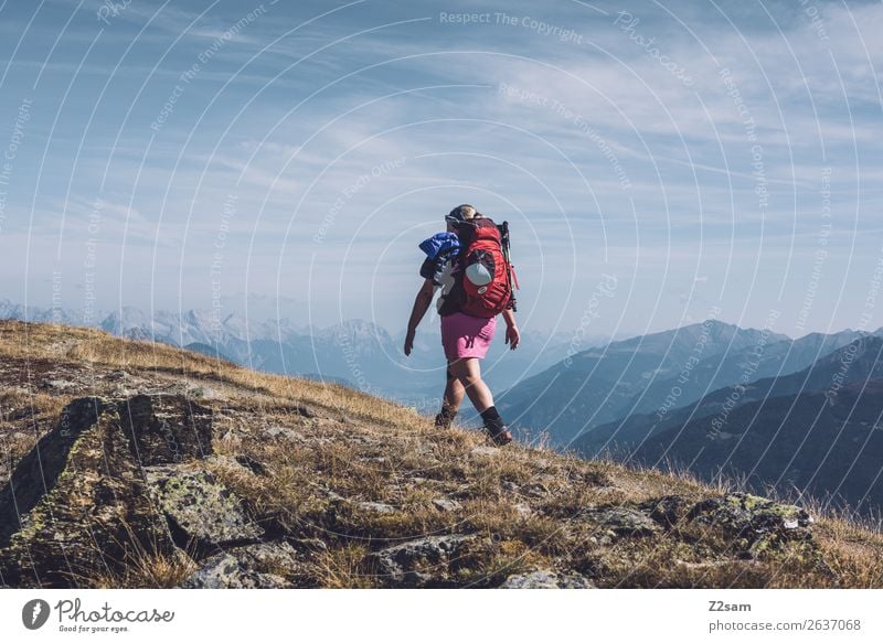 Hikers on a mountain ridge in the Pitztal | E5 Adventure Hiking Young woman Youth (Young adults) Nature Landscape Sky Beautiful weather Alps Mountain Peak