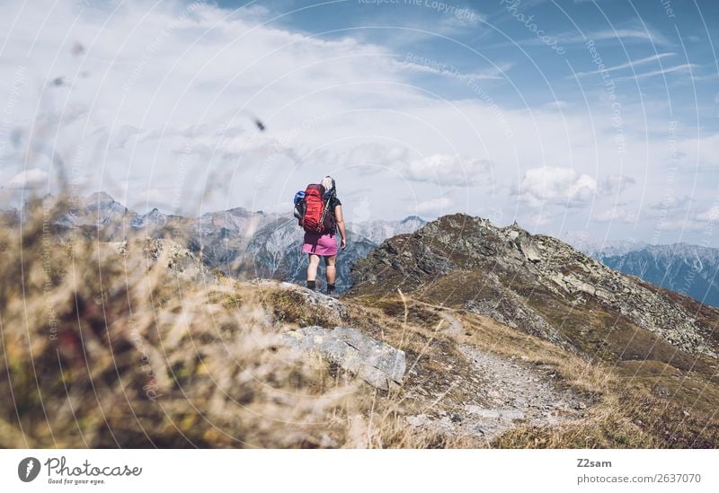 Young woman crossing the Alps | Pitztal | E5 Vacation & Travel Adventure Expedition Hiking Youth (Young adults) Nature Landscape Summer Beautiful weather Grass