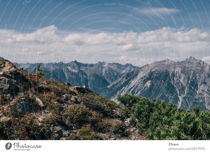 View from Venetberg towards Zams Hiking Environment Nature Landscape Sky Summer Beautiful weather Bushes Alps Mountain Peak Esthetic Sustainability Natural Blue