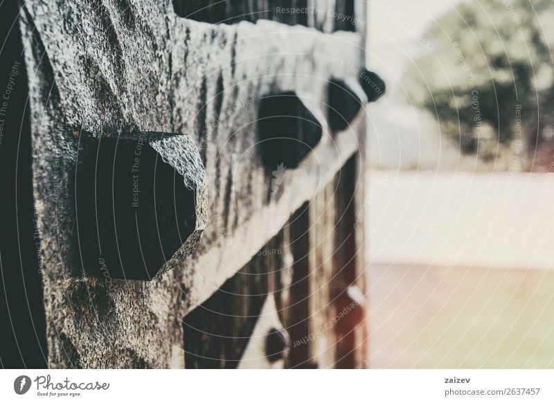 Closeup of forging details of an old wooden door with perspective Design House (Residential Structure) Places Building Architecture Ring Wood Metal Rust Old