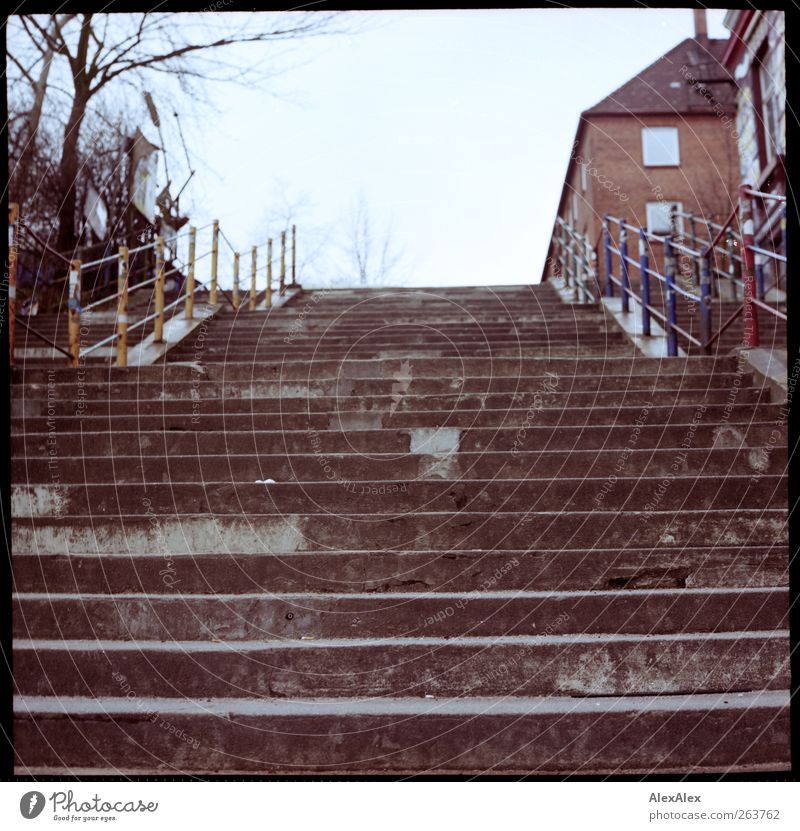 Descent / Ascent House (Residential Structure) Banister Cloudless sky Tree Stairs Town house (City: Block of flats) Lanes & trails Concrete Metal Old Authentic