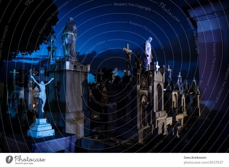 Jejus statues at blue lightened tombstones during dawn Hallowe'en Tourist Attraction Creepy Blue Death Religion and faith Tourism graveyard Mérida Mexico