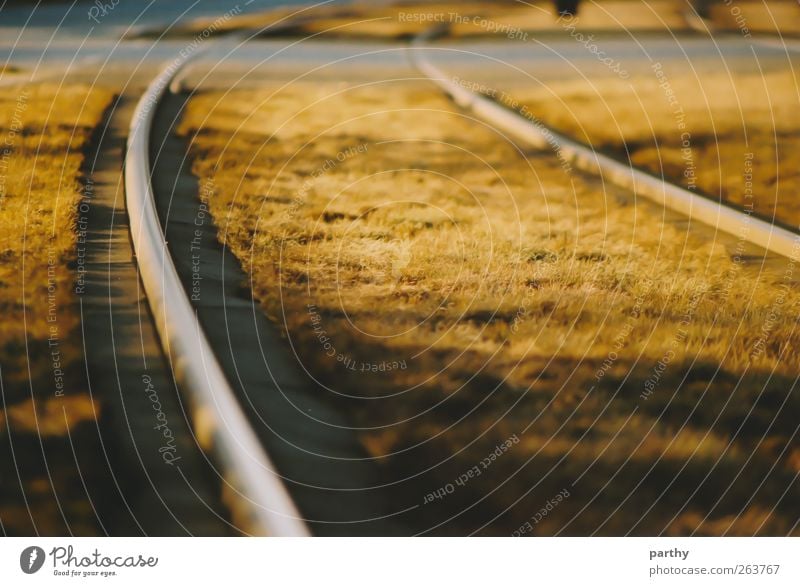 rails Grass Transport Traffic infrastructure Rail transport Railroad tracks Brown Colour photo Exterior shot Deserted Day Blur Shallow depth of field