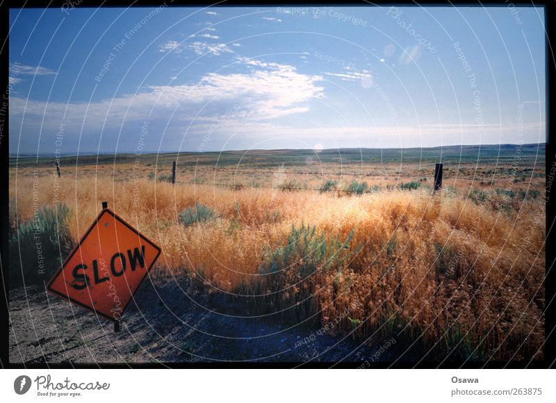 slow Environment Nature Landscape Sky Clouds Summer Beautiful weather Traffic infrastructure Street Road sign Sign Characters Signs and labeling Signage