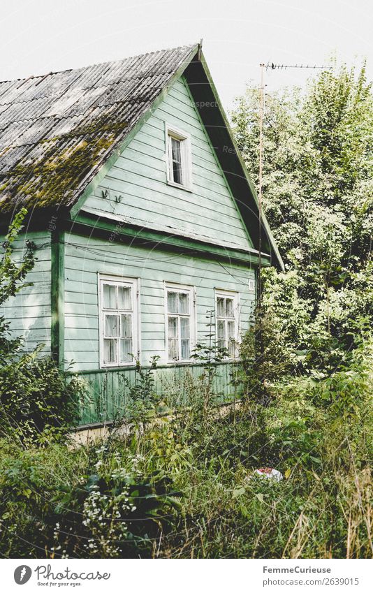 Mint green old house in Lithuania - surrounded by nature Village Small Town House (Residential Structure) Detached house Living or residing Apartment Building