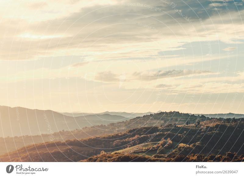 Hills in Tuscany in the evening light Vacation & Travel Tourism Adventure Far-off places Freedom Italy Mediterranean Environment Nature Landscape Elements Air