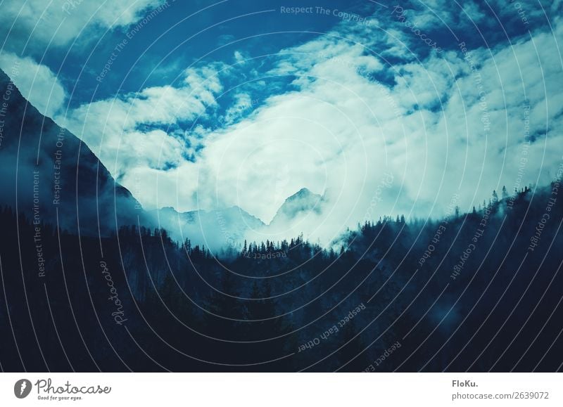 Summit in cotton wool Environment Nature Landscape Elements Air Sky Clouds Climate Weather Fog Rock Alps Mountain Peak Snowcapped peak Threat Gigantic Cold