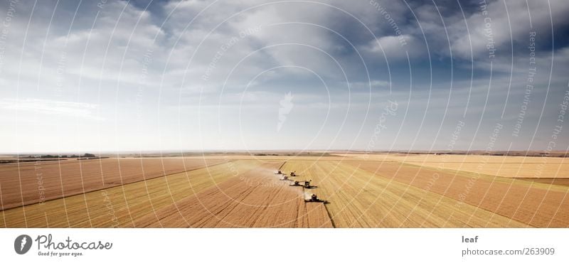 Aerial Prairie Landscape Summer Industry Machinery Air Horizon Tractor Trailer Aircraft Large Above Yellow Harvest grain field Combine saskatchewan Montana