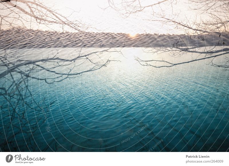 underwater Environment Nature Elements Air Water Sky Weather Beautiful weather Plant Tree Waves Coast Lakeside Exceptional Uniqueness Moody Adventure Esthetic