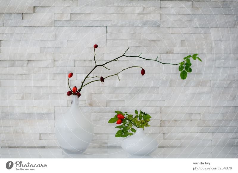 deco Style Design Living or residing Flat (apartment) Arrange Decoration Vase Plant Symmetry Rose hip Berries Leaf Marble Colour photo Interior shot Deserted