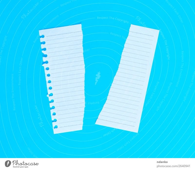 torn in half white blank sheet in line on blue background Education Office Paper Above Clean Blue White Idea Planning Torn Text Blank note Half Consistency