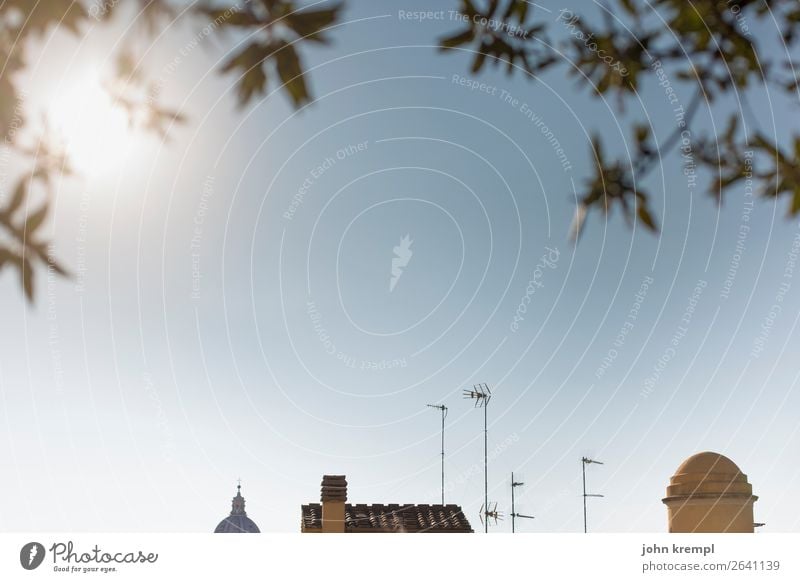 Rome IV - Capped Roof Cap Cases Tree Italy Old town Church Dome Chimney Antenna Domed roof Basilica of Santi Ambrogio and Carlo Hip & trendy Historic Positive