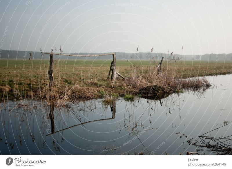 waterway. Calm Swimming & Bathing Environment Nature Landscape Water Cloudless sky Bushes Meadow Field Bog Marsh Pond Brook Traffic infrastructure Infinity Wet