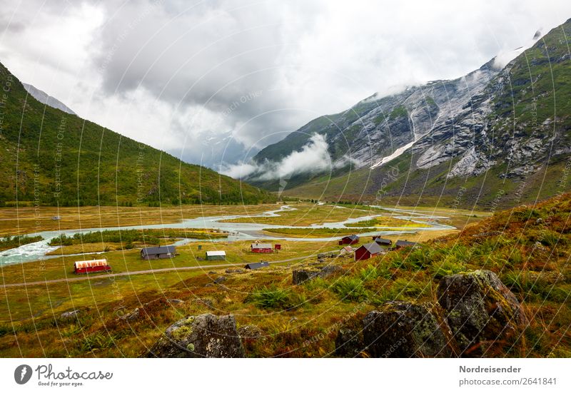 Norwegian landscape Vacation & Travel Tourism Mountain Hiking Agriculture Forestry Air Water Clouds Bad weather Fog Rain Grass Bushes Moss Fern Meadow Canyon