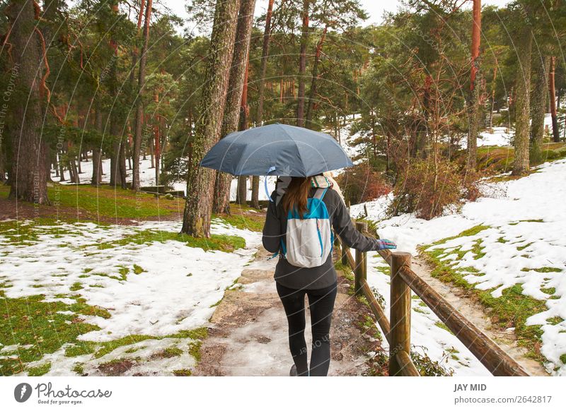 girl walking in the snow with an umbrella in hand, back Beautiful Winter Snow Hiking Human being Woman Adults Youth (Young adults) Nature Weather Snowfall Tree