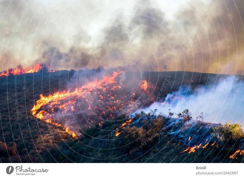 Flames and Smoke with Burning Landscape Beautiful Environment Nature Hill Natural Wild Fear Colour Destruction fire brush wildfire Woolsey California burn