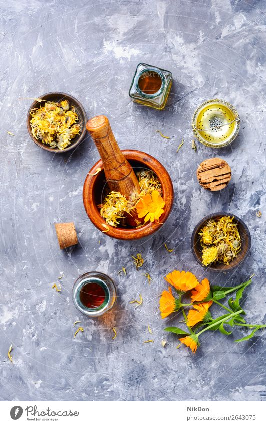 Fresh and dried calendula flowers Calendula officinalis herb marigold plant medicine yellow healthy natural mortar pestle nature flora floral orange petal